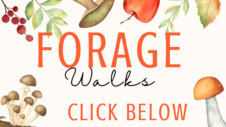 FB Event Cover - Forage Walk.png