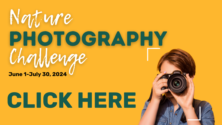 FB Event Cover Nature Photography Challenge.png