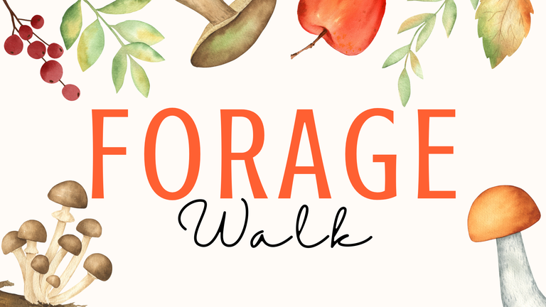 Forage Walk.png
