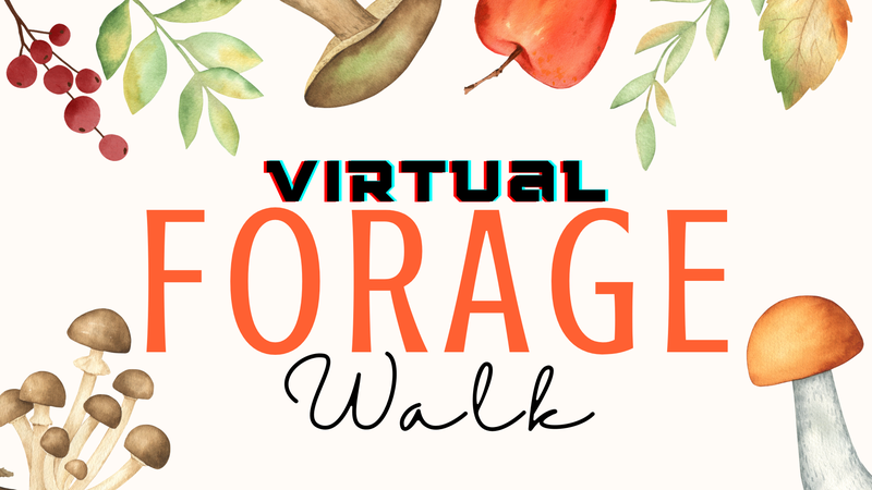 Virtual Forage Walk.png