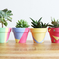 Teen Paint Your Own Tiny Flowerpot Craft