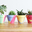 Paint Your Own Tiny Flower Pot.png