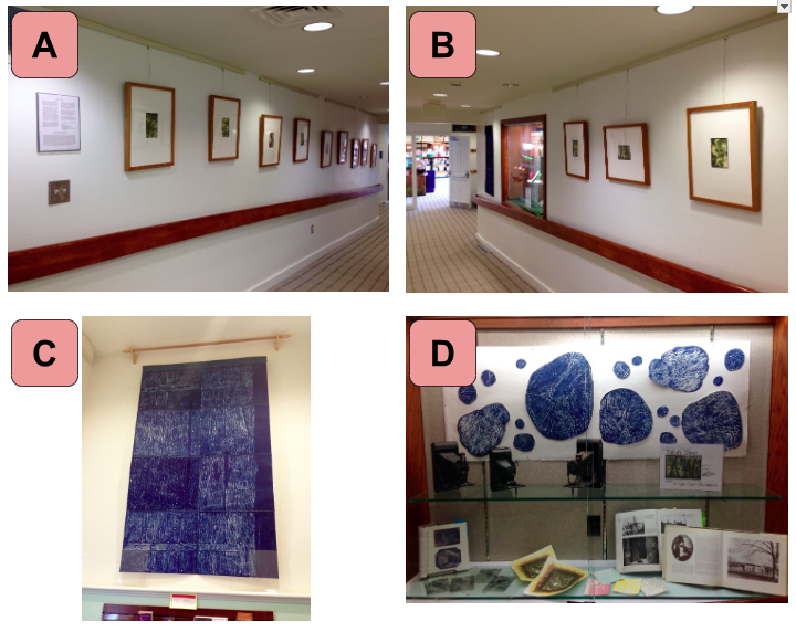 Gallery Space Photos.png