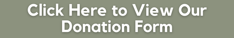 Donation Form Banner.png