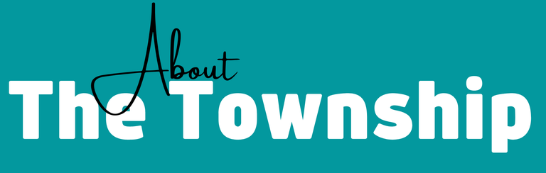 About the Township Icon Link.png