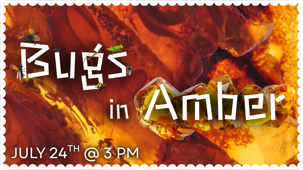 Bugs in Amber.png